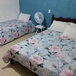 Apartamento Cercado Por Natureza E Diversao