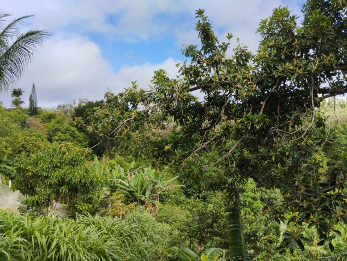 Cercado Por Natureza E Diversao